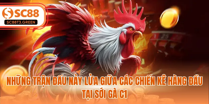 Những trận đấu nảy lửa giữa các chiến kê hàng đầu tại sới gà C1